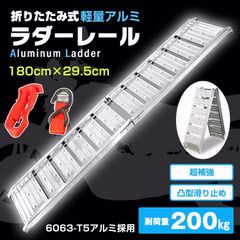 ラダーレール鉄製 スロープ ブリッジ 2本セット 鉄製ブリッジ 2本セット 2m ラダーレール スロープ - メルカリ