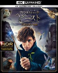 판타스틱 비스트와 마법사 여행 4K ULTRA HD&2D 블루 레이 세트 (2매 세트) [Blu-ray] 에디 레도메인, 캐서린 워터스톤, 앨리슨 스돌 [BD](중고)