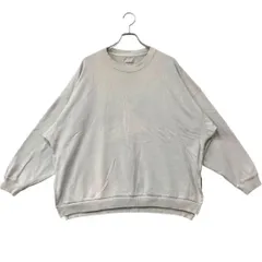 だ*い様 アメリカンイーグル　男スウェット　水色　M　秋服　トレーナー【474】のサムネイル