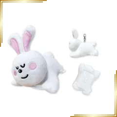 【新品】 エスケイジャパン たべっ子どうぶつ すやすや パスケース うさぎ 1