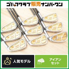 往年の名器】ホンマ HONMA Twin Marks PROTUNE-S アイアンセット 3~11 