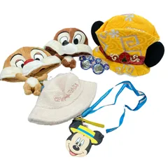 186001 現状品 Disney ディズニー チップ デール 30周年ミッキー ファンキャップ サングラス パスケース 帽子 キャップ バケットハット 6点セット