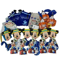 186001 Disney ディズニー 未使用品多数 パスケース  チケットホルダーパスポート 19点  まとめ売り バケーションパッケージ タグ付き