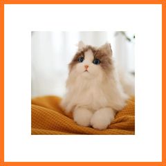女優さんみたいなリリアちゃん♡ミヌエット子猫♡アートドール