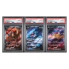 【PSA10】三連番 エンテイV スイクンV ライコウV SAR【ポケモンカードゲーム】