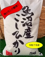 特Aランク米/生産者直接仕入/産地精米/産地直送　魚沼産コシヒカリ １０ｋｇ（５ｋｇ×２）のサムネイル