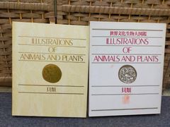 ゴールデンカムイ コミック 1-29巻セット 📚書籍商品情報📚 コミックス