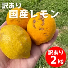 【訳あり】和歌山県産  ずっしり重い!!国産レモン 2キロのサムネイル