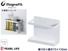 マグネフィット スパイスラック ガード付 HC-1183 magneFit マグネット収納 耐荷重1kg スパイス 調味料 ラック 壁面 パールライフのサムネイル