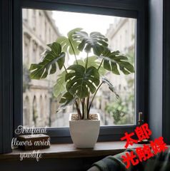 光触媒 人工観葉植物 ウォールグリーン フェイクグリーン パラドール 