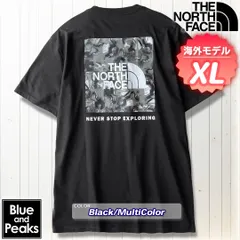 THE NORTH FACE 半袖Tシャツ BOX NSE デザインPRNTD, カラー；Black/MultiColor, サイズ；XL