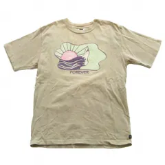 THE NORTH FACE ザ・ノースフェイス 半袖Ｔシャツ EK TEE プリント ヘビーオンスクルーネック カットソー ベージュ L メンズ 【中古】