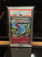 フシギバナ ホロ DPBP#003 1st ED PSA10 - メルカリ