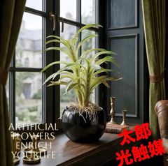 光触媒 人工観葉植物 ウォールグリーン フェイクグリーン パラドール 