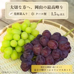 富士の輝き シャインマスカット 岡山県産 2品種 食べ比べ 富士の輝き シャインマスカット 1.5kg以上のサムネイル