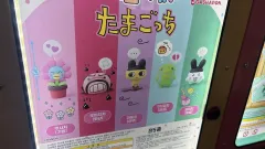 バンダイ ミミ道枝 ミミミチ ガチャ 感情