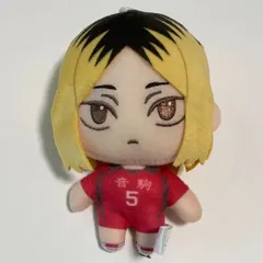 ハイキュー 孤爪研磨 ぬいぐるみ セガラッキーくじ B賞