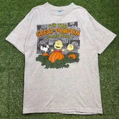 PEANUTS SNOOPY CHARLIE BROWN  キャラクター プリント T-sh Tシャツ Y2K サイズ メンズ M ストリート アメカジ 古着 b26032084【Tシャツ】