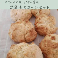 【送料込】焼きたて発送 バター香るご褒美スコーン10個セット   国産小麦、発酵バター使用｜プレーン・チョコ・ラムレーズン｜おやつ・ギフトのサムネイル