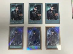 ホヨランド ライオスリー トレカ 占い 一星᠂