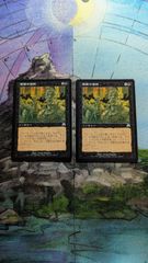 MTG シヴ山のドラゴン 4版黒枠 日本語 - メルカリ