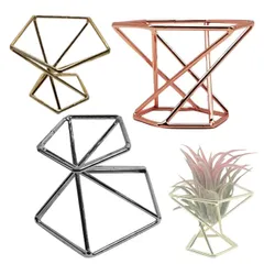 本物 チランジア 観葉植物 コルク スタンド へご ホルダー WinJapan エアプランツ (五角３個)