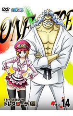 DVD／ONE PIECE ワンピース〜17thシーズン ドレスローザ編 piece.14