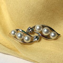 あこや真珠.白蝶貝の家紋額縁 - メルカリ