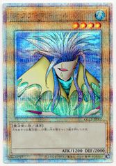 ベルセルク ロシーヌ パラレル BERSERK tcg Parallel BK2 - メルカリ