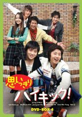嵐 特大 ポスター 5大ドーム ツアー コンサート 解散 チケット