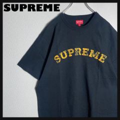 正規品鑑定】シュプリーム☆ボックスロゴ ブリング Tシャツ 希少レア