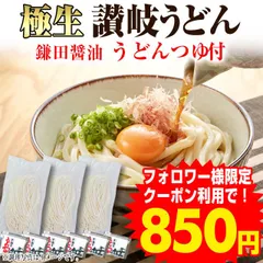 当日発送(17時頃迄)  　【本場 生麺 讃岐うどん 並切麺  750g つゆ付】 鎌田醤油のつゆ付セット 6人前 香川直送　訳あり簡易パッケージ、簡易包装　　（UB）