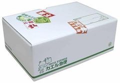 [중고](미사용·미개봉품) 춤추는 대수사선 THE MOVIE 3 개구리 익스프레스 정리 팩 [첫회 한정 생산] [DVD]