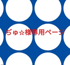 ぢゅ✩様専用ページです。