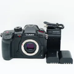 2026年最新】dc-gh5sの人気アイテム - メルカリ
