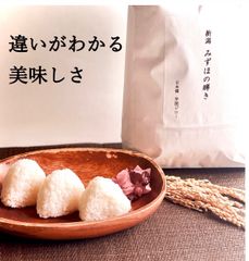 ぐりとぐら様】スープ ごぼう かぼちゃ コーン 手作り 菓子パン 惣菜