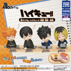 어깨 준 Fig