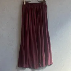 INGNI（イング）　シフォンプリーツスカート