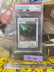 遊戯王 英語版 ブラックフェザードラゴン 1st ゴーストレア ホロ