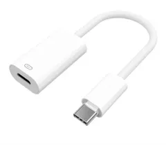 ライトニング タイプc 変換 高速転送 通話可能 急速充電