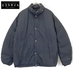 THE NORTH FACE ノースフェイス 【国内正規】ND92361 GORE-TEX Alteration Sierra Jacket オルタレーションシエラ ダウン L