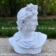 ルキウスウェルス 大顔面 石膏像 デッサン 美術 壁掛け インテリア