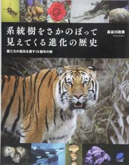 Discovering Wildlife すばらしき野生の王国 6個セット - メルカリ