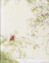 ☆初版帯付 杉本一文銅版画集幻想とエロスの桃源郷ICHIBUN SUGIMOTO