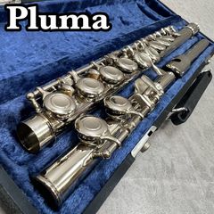 Mavisシルバーフルート本体 ケース付き - メルカリ
