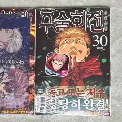 特典 含む 呪術廻戦 30 巻 ダブル 特装版 初回版 未開封