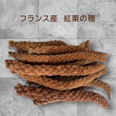 フランス産 赤粟穂 粟穂 - メルカリ