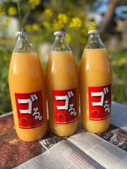 【ゴる。】信州産100%濃厚りんごジュース1L×3本セットのサムネイル