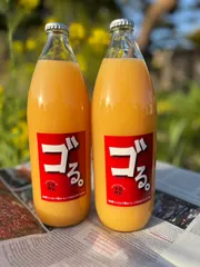 【ゴる。】信州産100%濃厚りんごジュース1L×2本セットのサムネイル