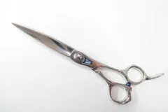 2026年最新】トギノン マリンシャークの人気アイテム - メルカリ